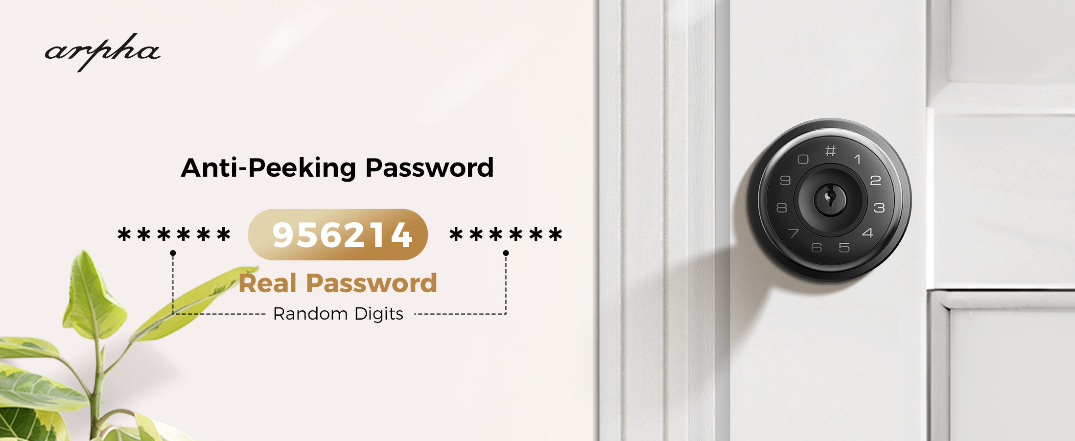 D260 Smart Doorknob