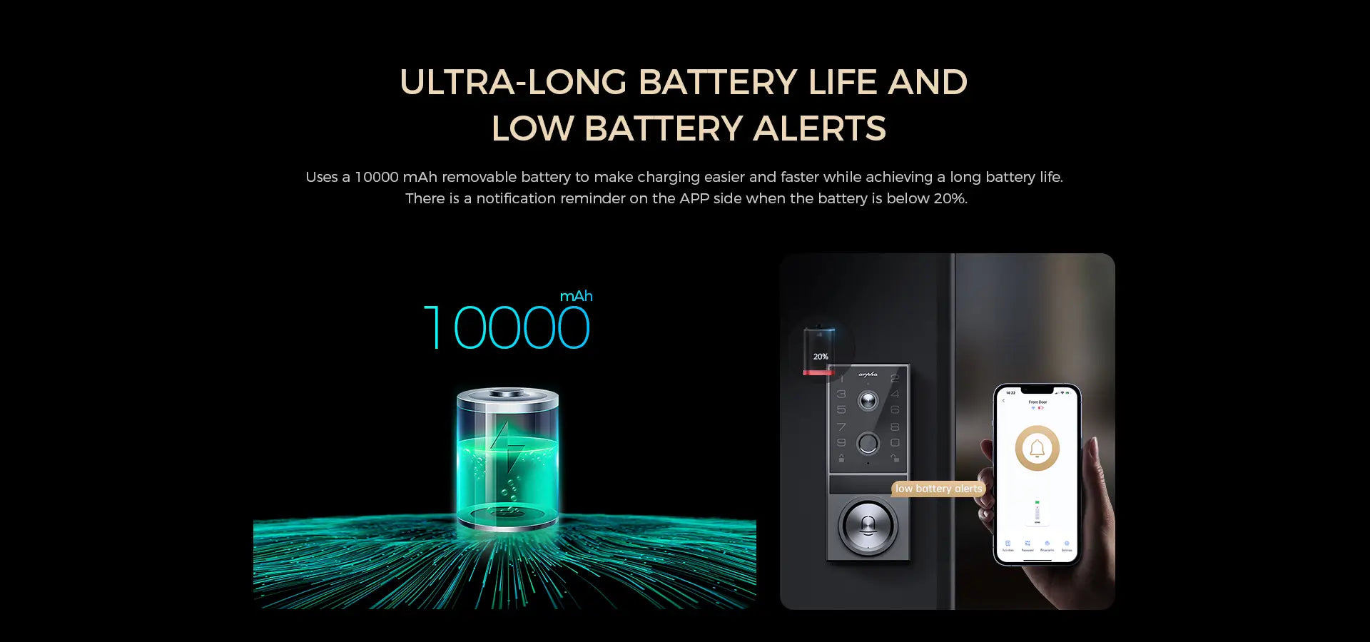 AL601 Smart Lock