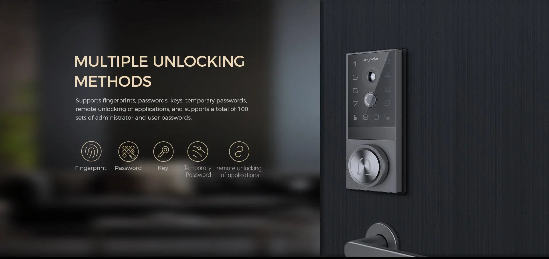 AL601 Smart Lock